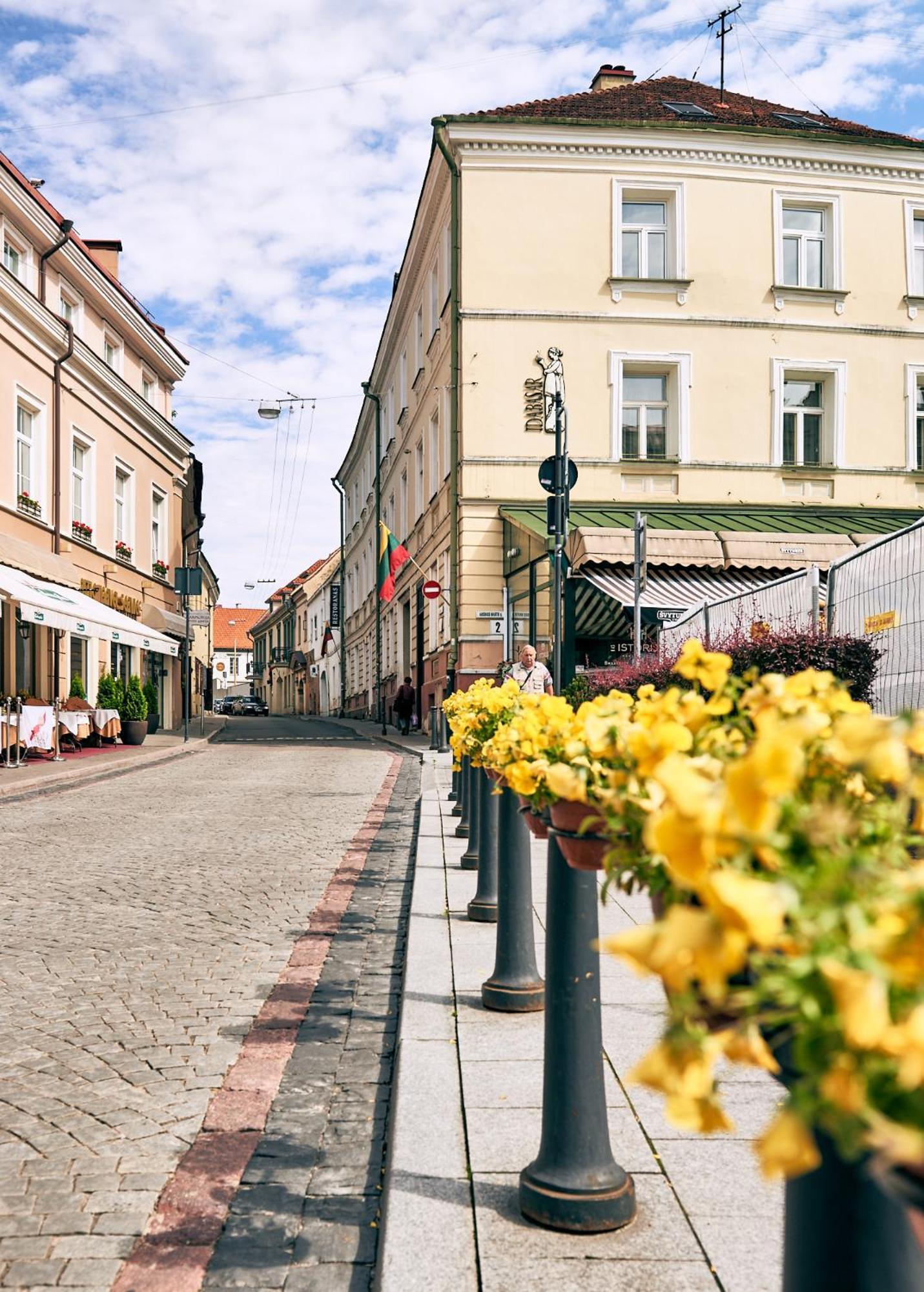 Luxury Apartments With Smart House System, Amazing Interior And Best Beds On The Market Vilnius Buitenkant foto